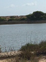 Lago artificial de El Saler